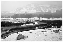 Snowy landscape near Tioga Pass. Yosemite National Park, California, USA. (black and white)