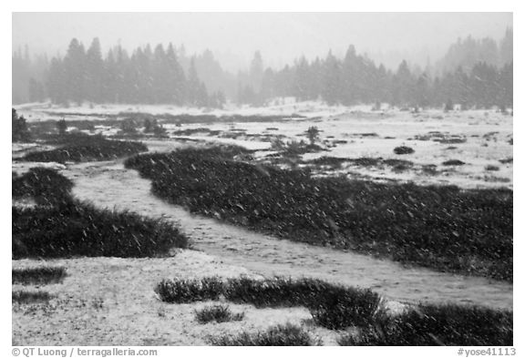 Falling snow streaks, river and meadow. Yosemite National Park, California, USA.