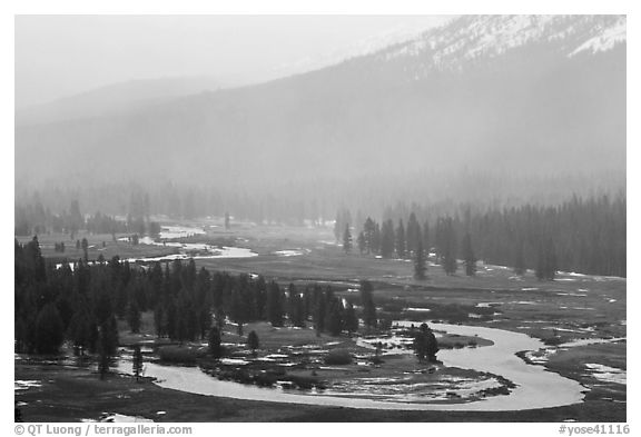 Seasonal ponds and fog, Tuolumne Meadows. Yosemite National Park, California, USA.