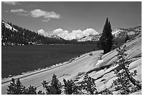 Road on shore of Tenaya Lake. Yosemite National Park ( black and white)