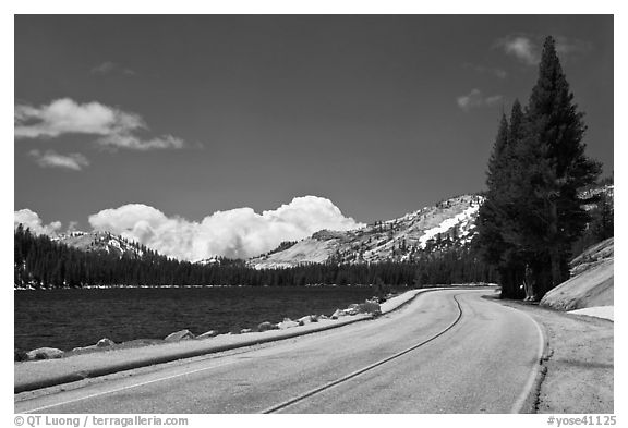 Highway hugging shore of Tenaya Lake. Yosemite National Park, California, USA.