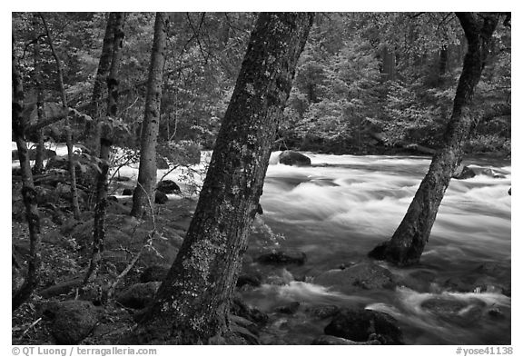 Merced River in the Spring, Happy Isles. Yosemite National Park (black and white)