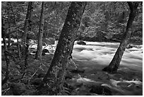 Merced River in the Spring, Happy Isles. Yosemite National Park, California, USA. (black and white)