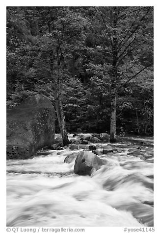 Merced River cascades, boulder, and trees, Happy Isles. Yosemite National Park, California, USA.