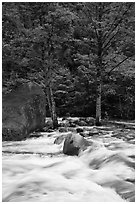 Merced River cascades, boulder, and trees, Happy Isles. Yosemite National Park, California, USA. (black and white)