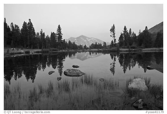 Alpine tarn near Tioga Pass and reflections at sunset. Yosemite National Park (black and white)