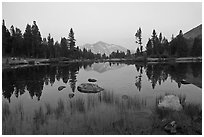 Alpine tarn near Tioga Pass and reflections at sunset. Yosemite National Park ( black and white)