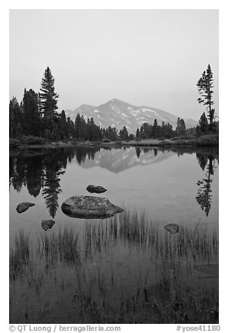 Mammoth Peak reflected in tarn at sunset. Yosemite National Park, California, USA.