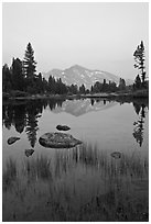 Mammoth Peak reflected in tarn at sunset. Yosemite National Park ( black and white)