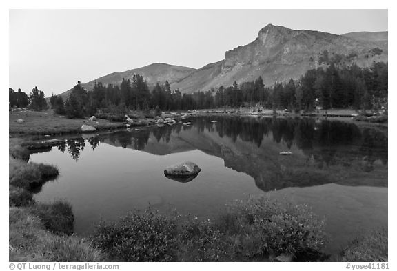 Mt Dana shoulder reflected in tarn at dusk. Yosemite National Park (black and white)