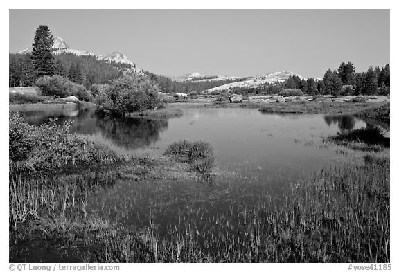 Tuolumne River and distant domes, early morning. Yosemite National Park (black and white)