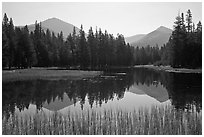 Mount Dana and Mount Gibbs reflected in lake, morning. Yosemite National Park, California, USA. (black and white)