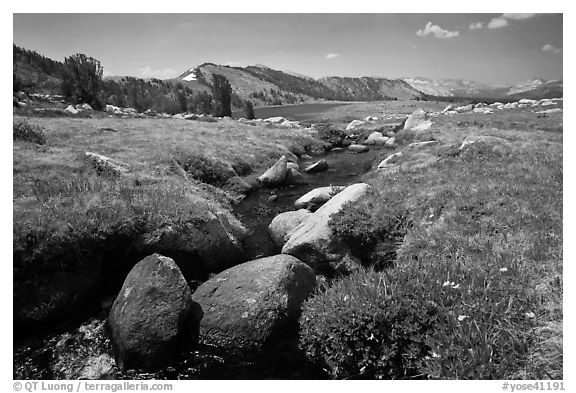Alpine scenery with stream and distant Gaylor Lake. Yosemite National Park (black and white)