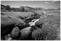 Alpine scenery with stream and distant Gaylor Lake. Yosemite National Park, California, USA. (black and white)