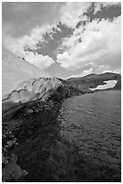 Neve on shore of upper Gaylor Lake. Yosemite National Park ( black and white)