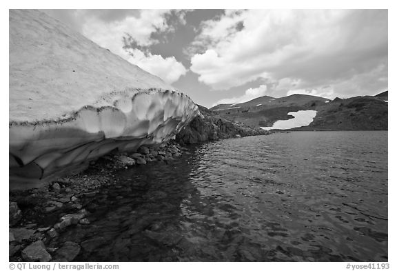 Gaylor lake in early summer with neve near water. Yosemite National Park (black and white)