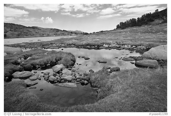 High alpine country near Gaylor Lake. Yosemite National Park (black and white)