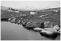 Shore of Gaylor Lake and Cathedral range. Yosemite National Park, California, USA. (black and white)