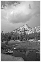 Meadow, Cathedral Peak, and clouds. Yosemite National Park ( black and white)