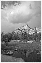 Meadow, Cathedral Peak, and clouds. Yosemite National Park, California, USA. (black and white)