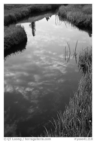 Stream and cloud reflections near Lower Cathedral Lake. Yosemite National Park (black and white)