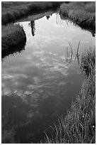 Stream and cloud reflections near Lower Cathedral Lake. Yosemite National Park ( black and white)