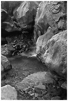 Waterfall and pool at the base of  Wapama falls. Yosemite National Park, California, USA. (black and white)