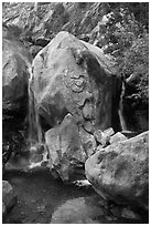 Base of Wapama fall in summer, Hetch Hetchy. Yosemite National Park, California, USA. (black and white)