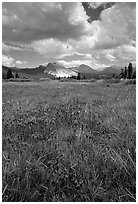 Storm light, Tuolumne meadows. Yosemite National Park ( black and white)