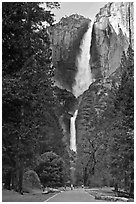 Tourists on path dwarfed by Upper and Lower Yosemite Falls. Yosemite National Park, California, USA. (black and white)