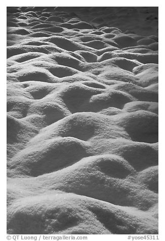 Snow mounds, Cook Meadow. Yosemite National Park (black and white)