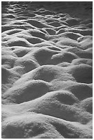 Snow mounds, Cook Meadow. Yosemite National Park, California, USA. (black and white)