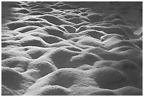Rounded pattern of snow over grasses, Cook Meadow. Yosemite National Park ( black and white)