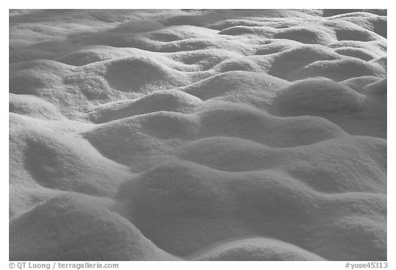 Snow pattern, Cook Meadow. Yosemite National Park (black and white)
