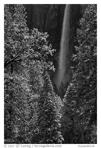 Bridalveil Fall after rare spring snow storm. Yosemite National Park (black and white)
