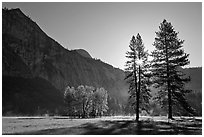 Sun and Ahwanhee Meadows in spring. Yosemite National Park, California, USA. (black and white)