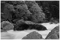 Merced River whitewater in spring. Yosemite National Park ( black and white)