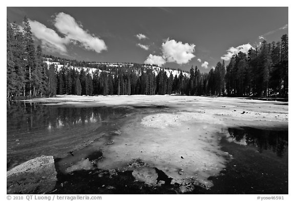 Siesta Lake, early spring. Yosemite National Park (black and white)