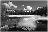 Siesta Lake, early spring. Yosemite National Park ( black and white)