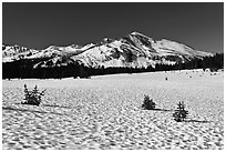 Suncups in Dana Meadow and Mammoth Peak. Yosemite National Park, California, USA. (black and white)