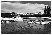 Flooded Twolumne Meadows in spring. Yosemite National Park, California, USA. (black and white)