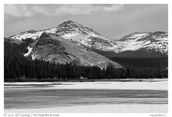 Lambert Dome surrounded by snowy peaks and meadows. Yosemite National Park (black and white)