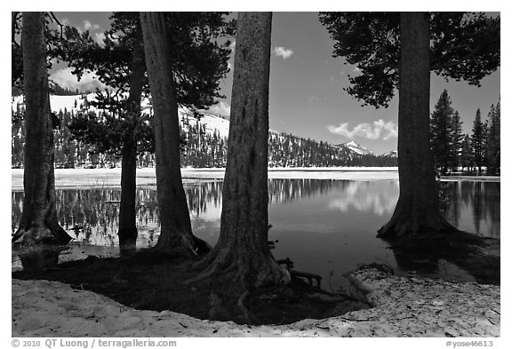 Tenaya Lake in the spring. Yosemite National Park (black and white)