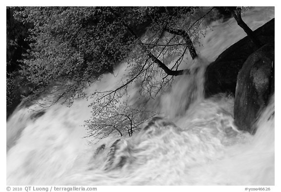 Raging waters, Cascade Creek. Yosemite National Park (black and white)