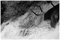 Raging waters, Cascade Creek. Yosemite National Park, California, USA. (black and white)