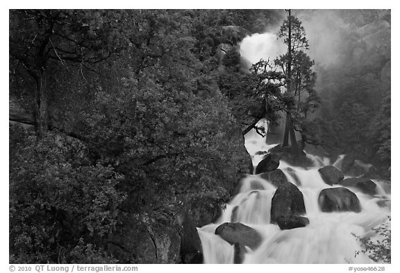 Cascade Creek in the spring. Yosemite National Park (black and white)