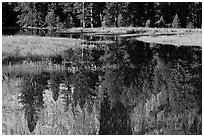 Unusual El Capitan Meadow reflections. Yosemite National Park, California, USA. (black and white)