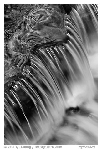 Fern Spring forest reflections and cascade. Yosemite National Park (black and white)