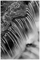 Fern Spring forest reflections and cascade. Yosemite National Park, California, USA. (black and white)