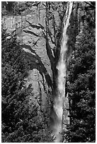 Trees, Ribbon Falls and cliffs. Yosemite National Park ( black and white)